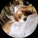 MariaAssunta Ingrassia Avatar